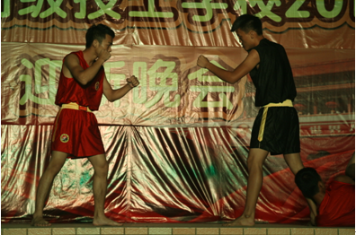 （圖五）校武術(shù)協(xié)會(huì)的表演