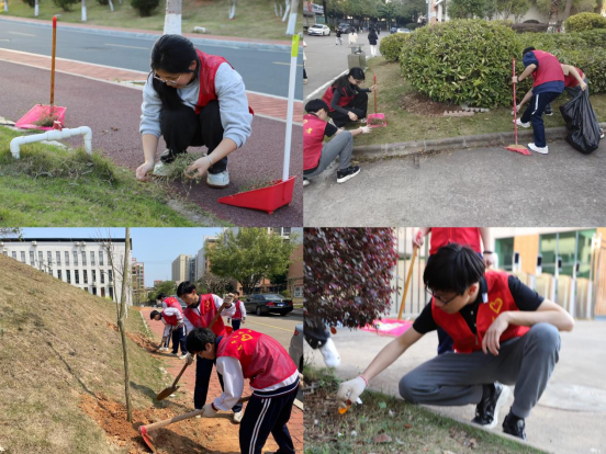 1711673534428654.png image.png