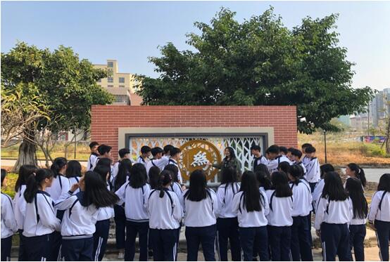 1574324551414986.jpg 1.jpg