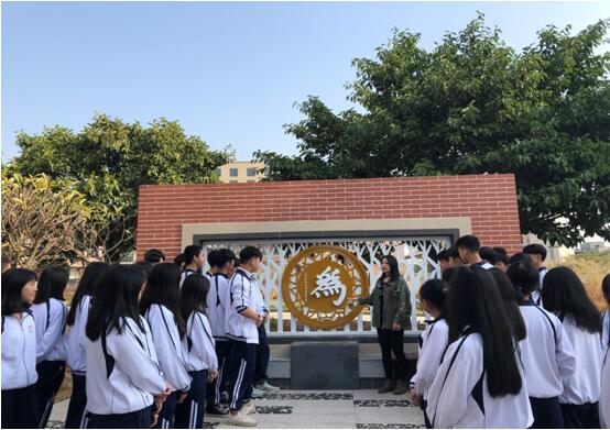 1574324559353322.jpg 2.jpg