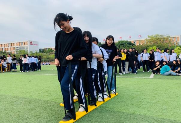 1606355281392233.jpg 1.jpg