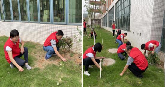 1618275235393189.jpg 2.jpg