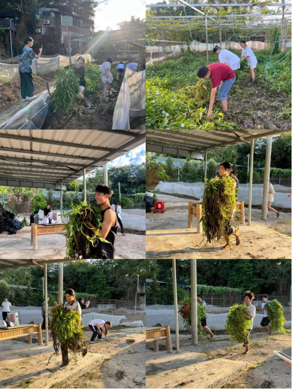 1763562111746907.png 藝術(shù)設(shè)計(jì)系學(xué)生會(huì)赴梧桐山農(nóng)家樂團(tuán)建(2)287.png