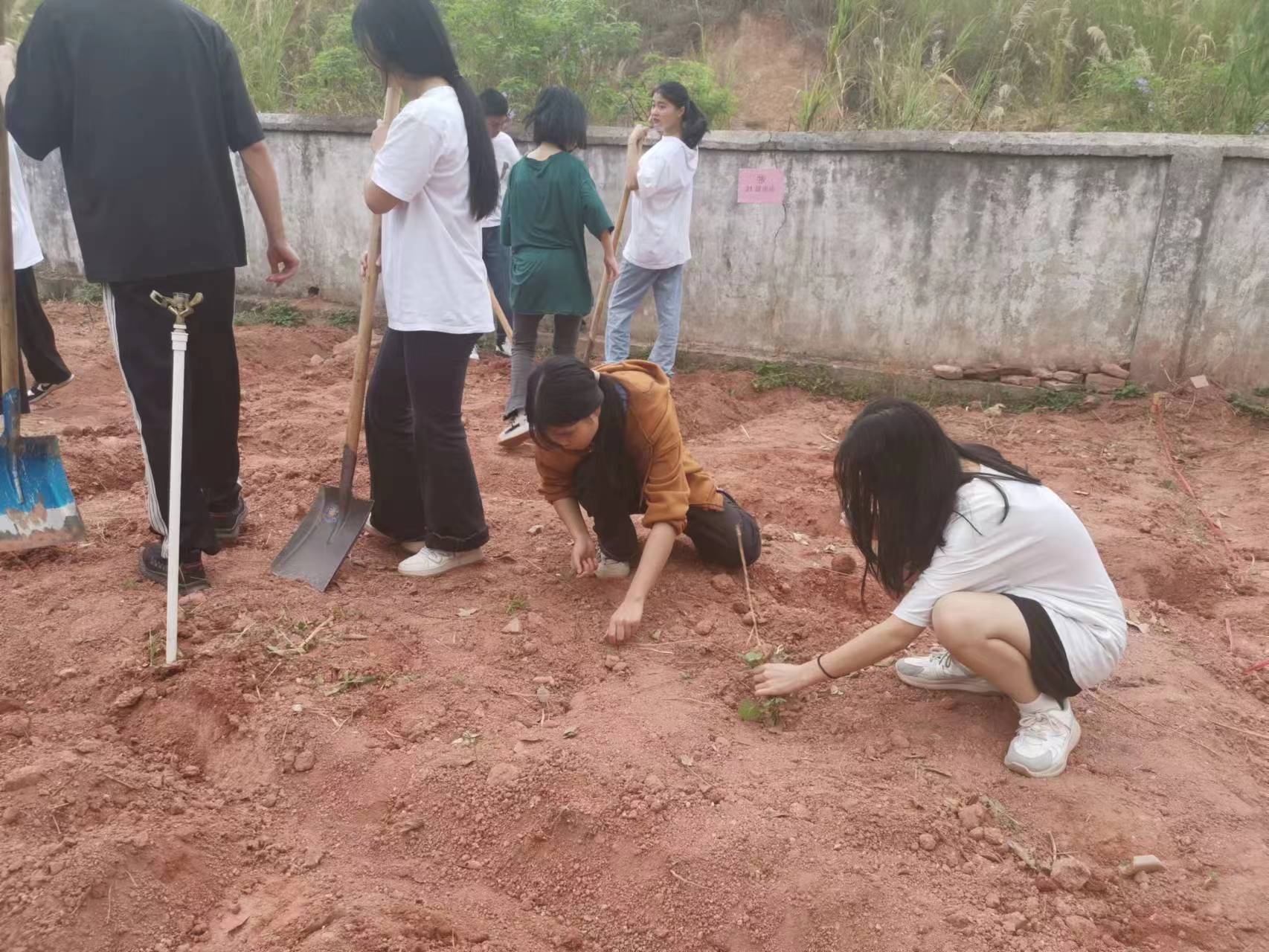 微信圖片_20230326195939.jpg
